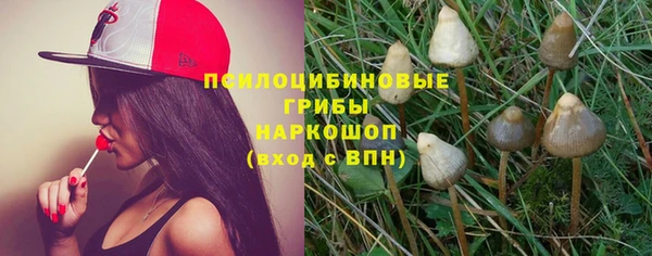 винт Пересвет