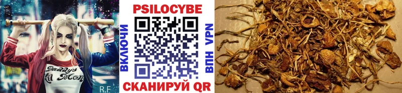 Галлюциногенные грибы Magic Shrooms  Купить где  Грайворон 